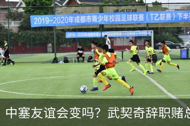 中塞友谊会变吗？武契奇辞职赌总理败选，新领导对华态度模棱两可